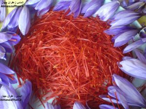 Export of Iranian saffron