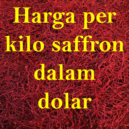 Harga per kilo saffron dalam dolar