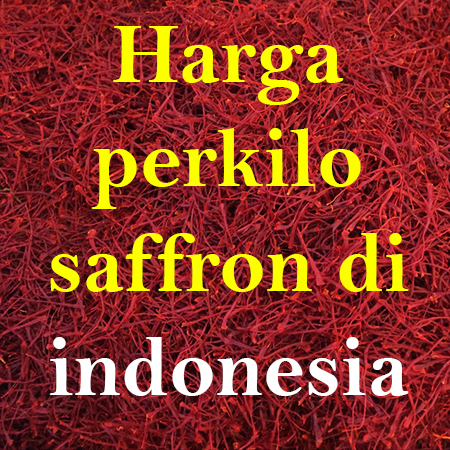 Harga perkilo saffron di indonesia