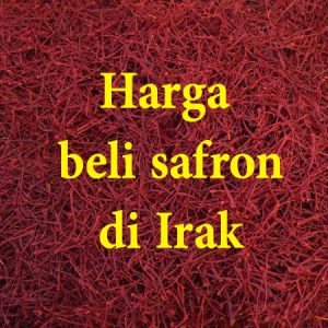 Harga beli safron di Irak