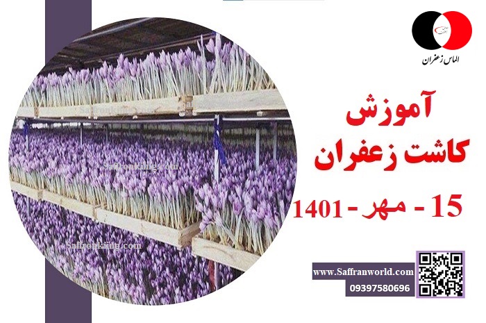 کلاس کشت زعفران 15 مهر 1401